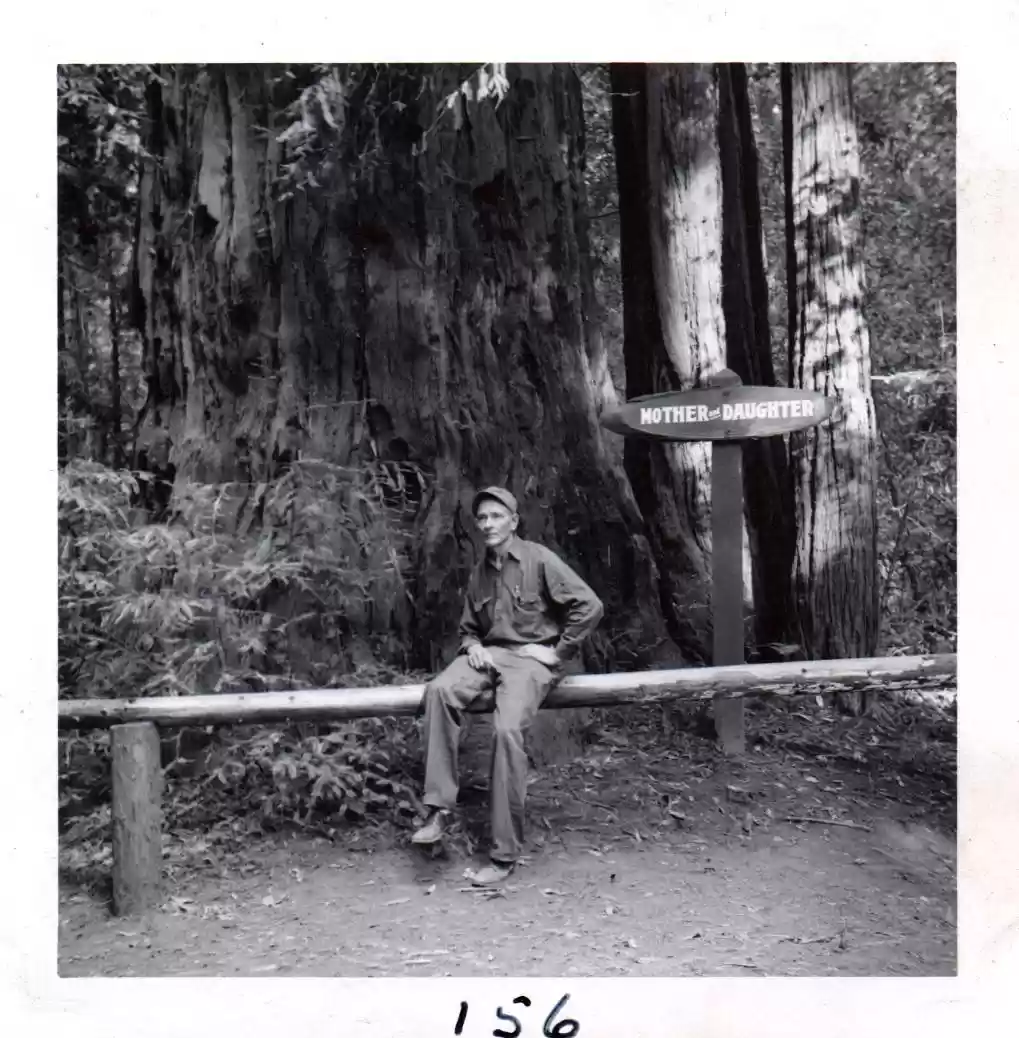 156- Bill Homberger relaxing long enough to show size of tree